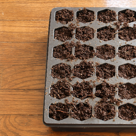 Best Seed Starter Peat Pots Kit